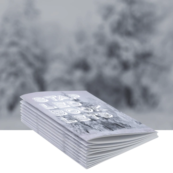 Stapled Brochures