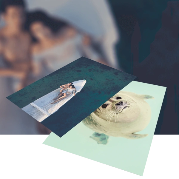 Posters